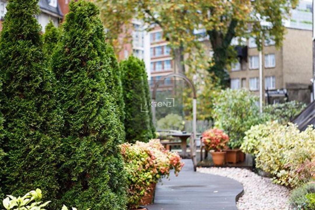 Cartwright Gardens, St Pancras, London