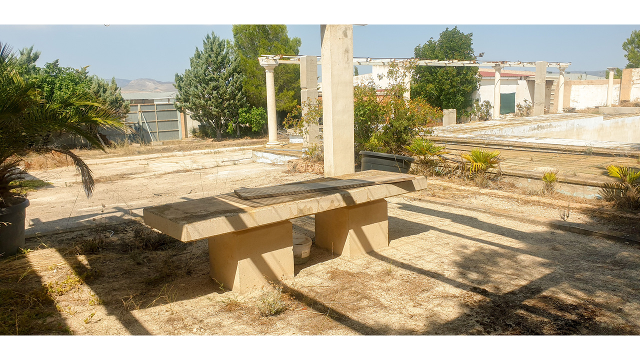 Olive Grove Estates Real Estate Caudete Spanish amazing (7)