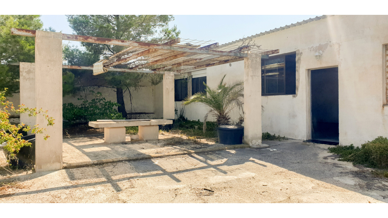 Olive Grove Estates Real Estate Caudete Spanish amazing (15)