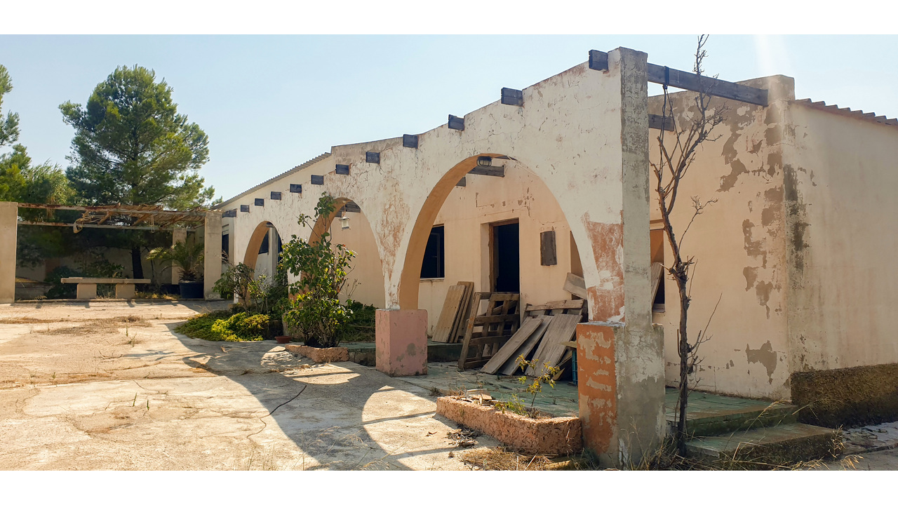 Olive Grove Estates Real Estate Caudete Spanish amazing (20)