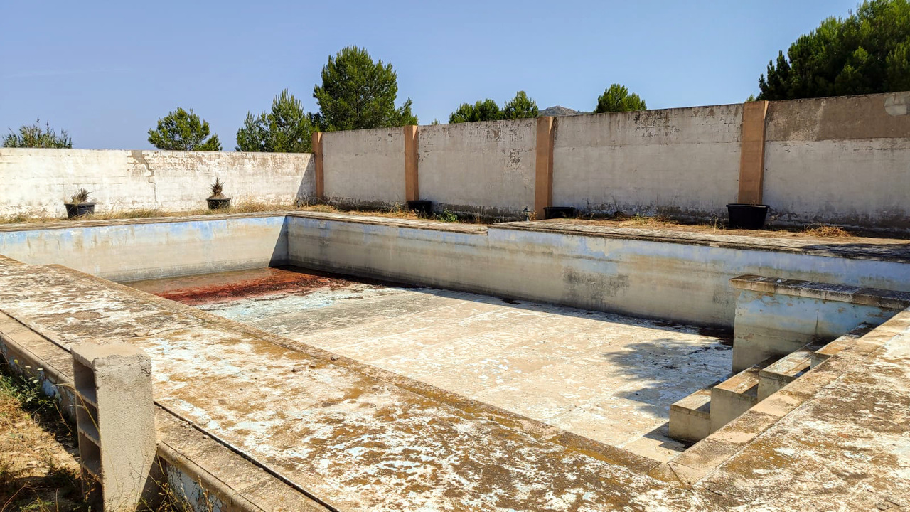 Olive Grove Estates Real Estate Caudete Spanish amazing (33)