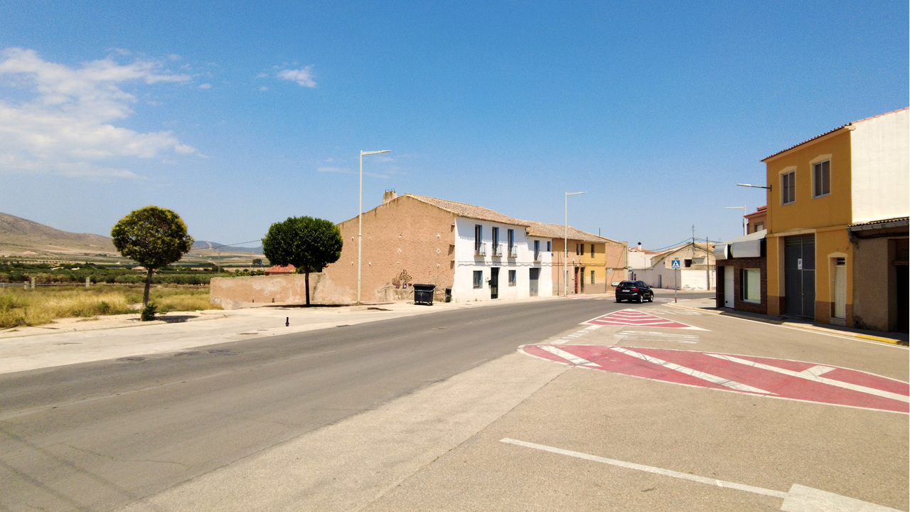 Olive Grove Estates Business Opportunity Spain Buy  (3)