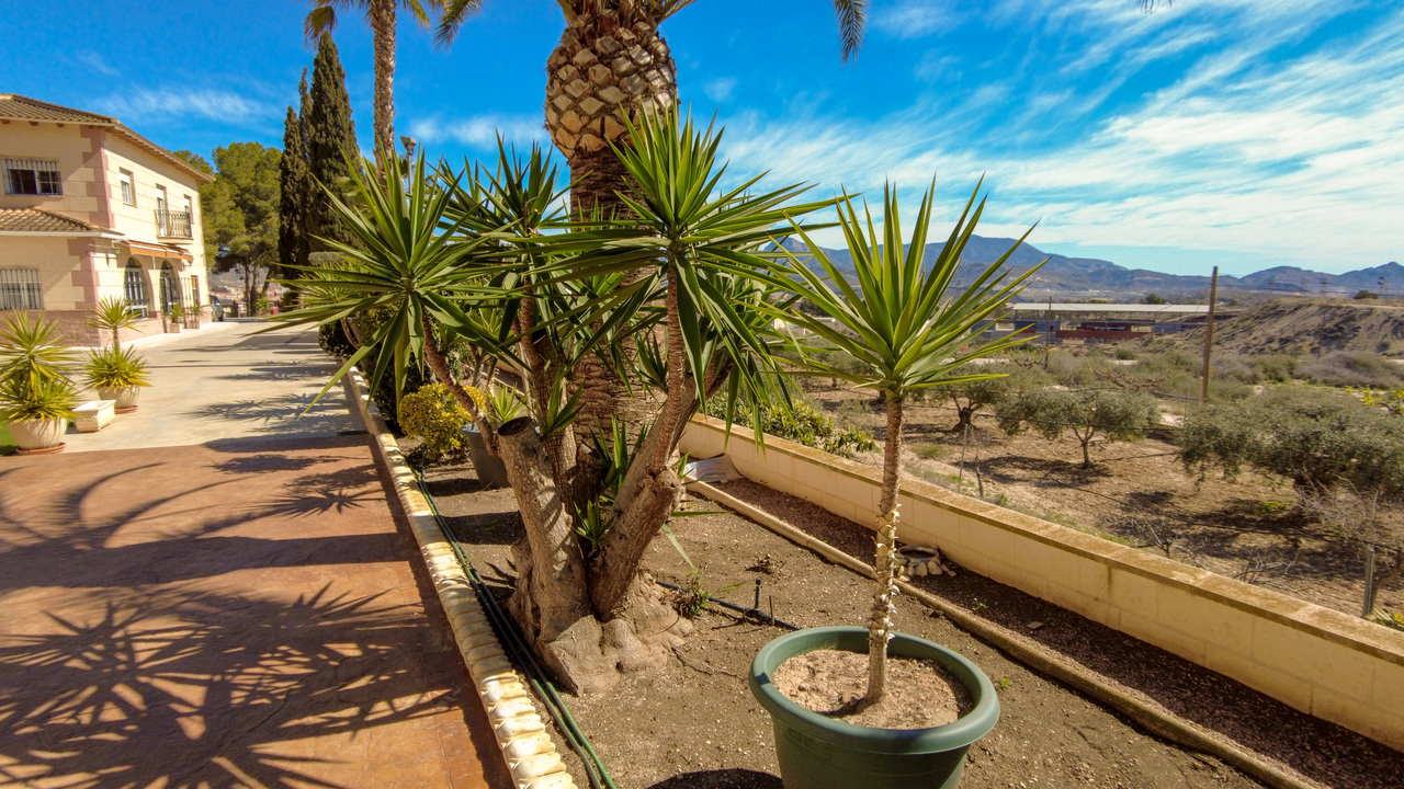 DJI_0009_edited