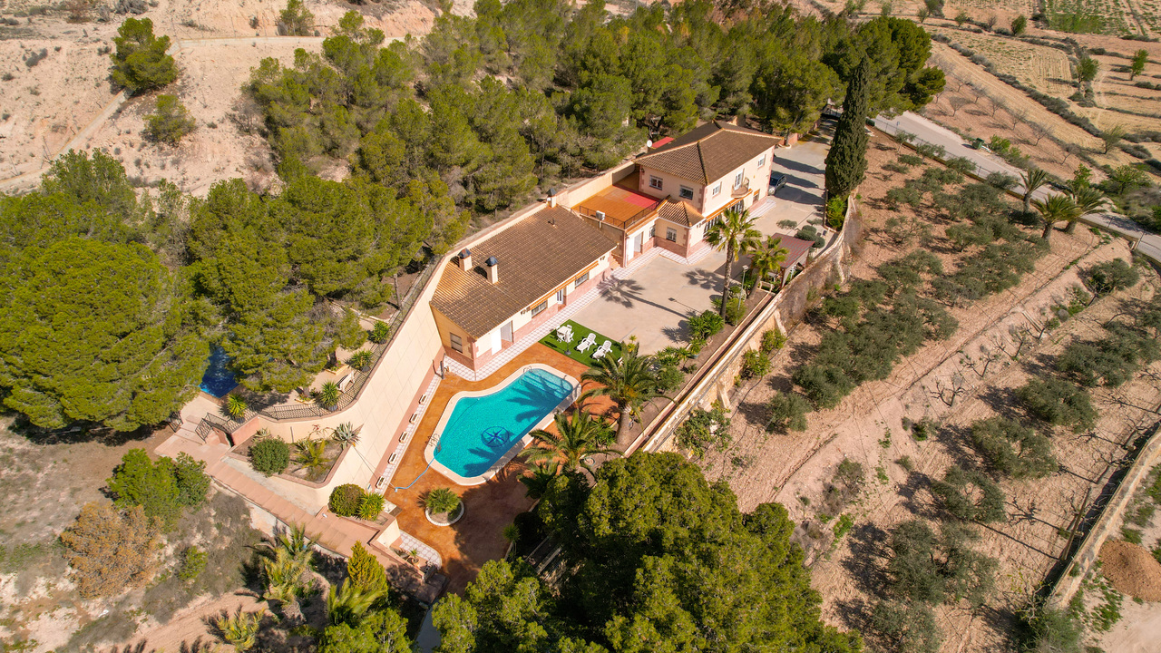 DJI_0961_edited