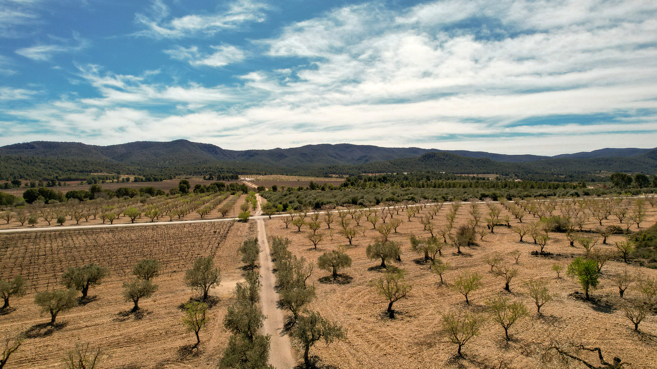 Olive Grove Estates Las Virtudas Alicante Country House for Sale (1)