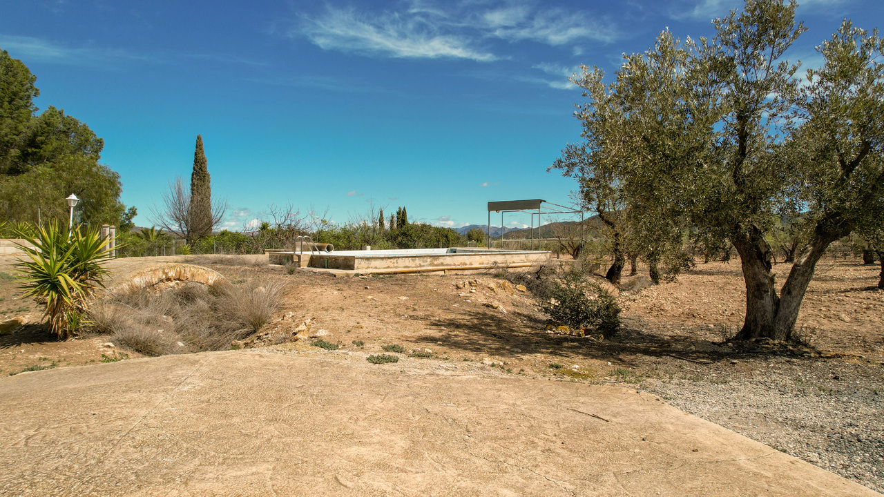 Olive Grove Estates Las Virtudas Alicante Country House for Sale (9)