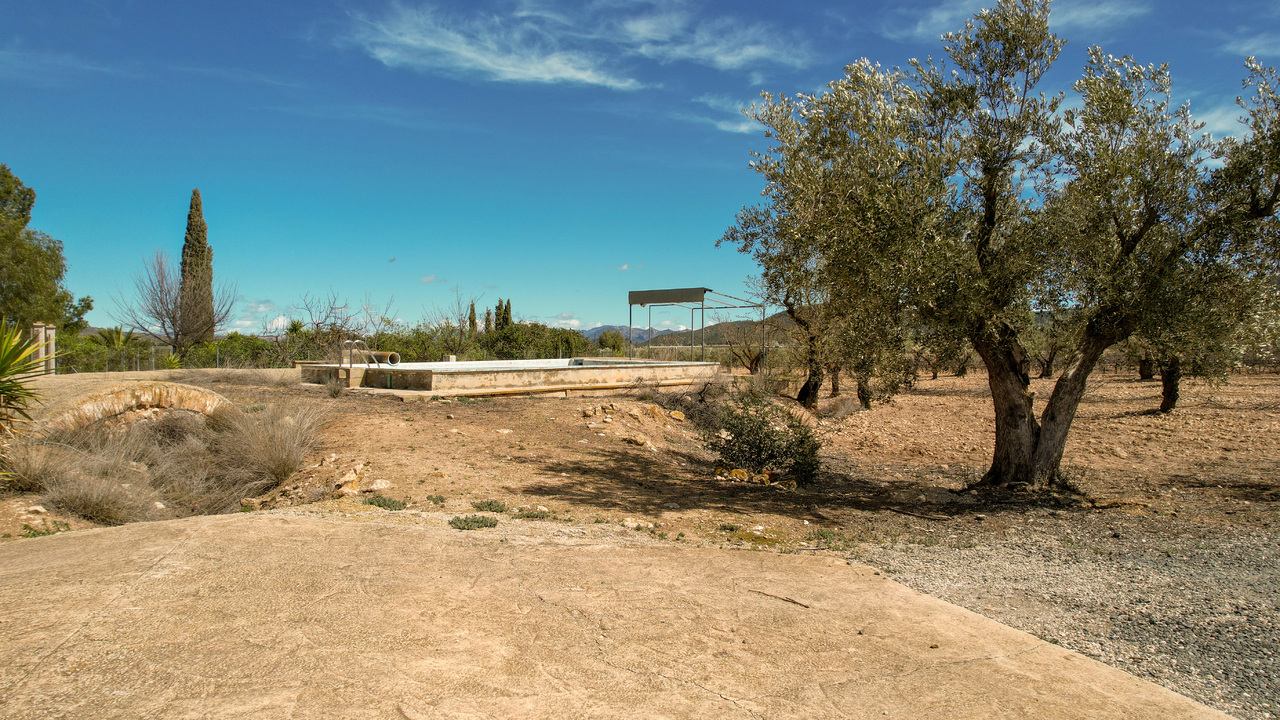 Olive Grove Estates Las Virtudas Alicante Country House for Sale (11)