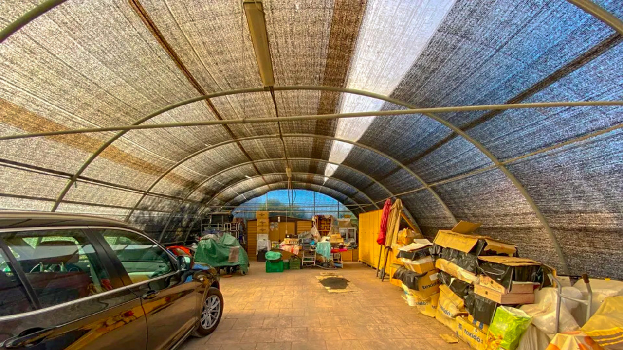 Olive Grove Estates buy a property in spain sax alicante (15)_edited