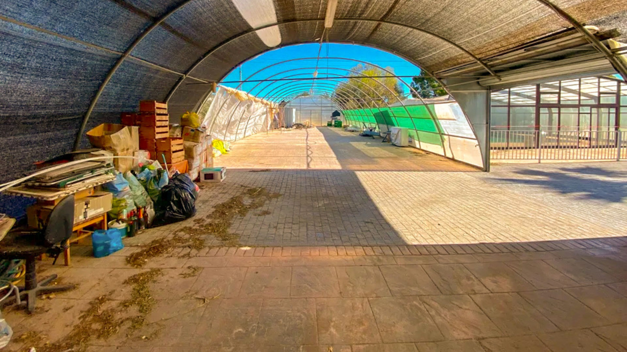 Olive Grove Estates buy a property in spain sax alicante (16)_edited