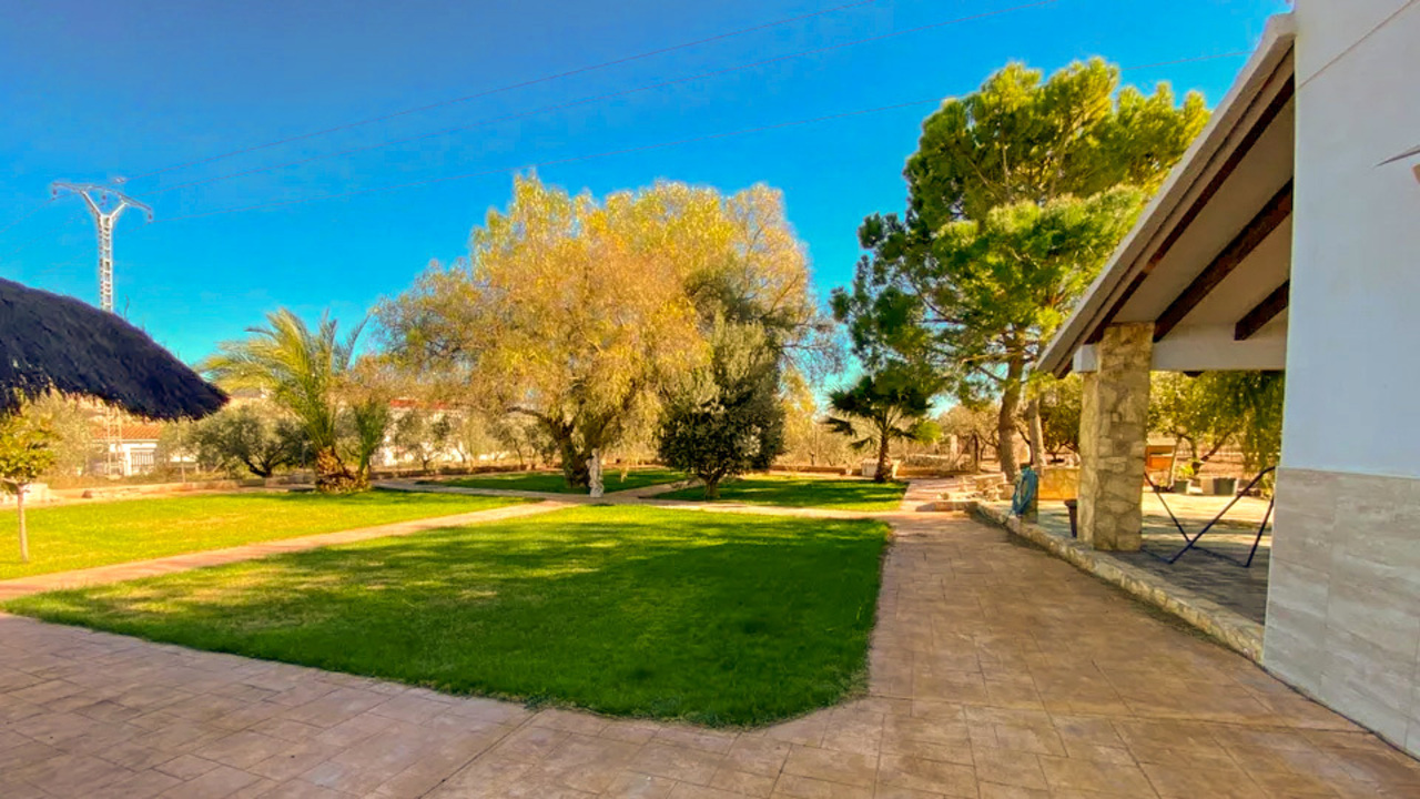 Olive Grove Estates buy a property in spain sax alicante (17)_edited