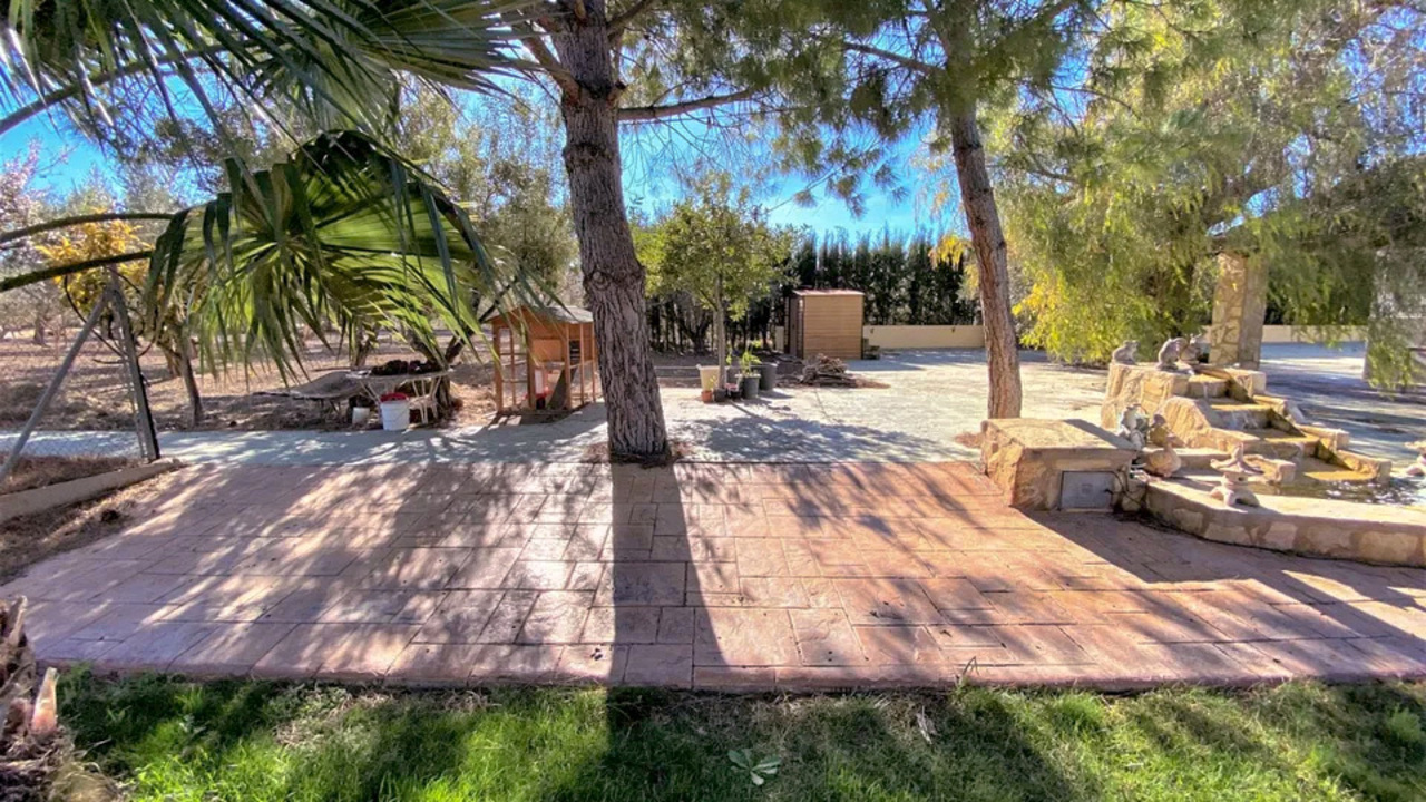 Olive Grove Estates buy a property in spain sax alicante (19)_edited