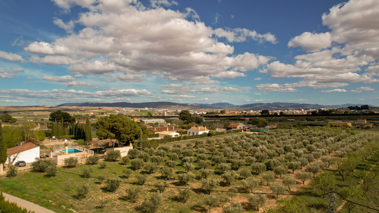 Olive Grove Estates Caudete Fully Legal House in the Country (1)
