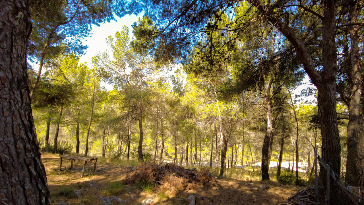 OLive Grove Estates Great Estate Agent Alicante Spain (11)