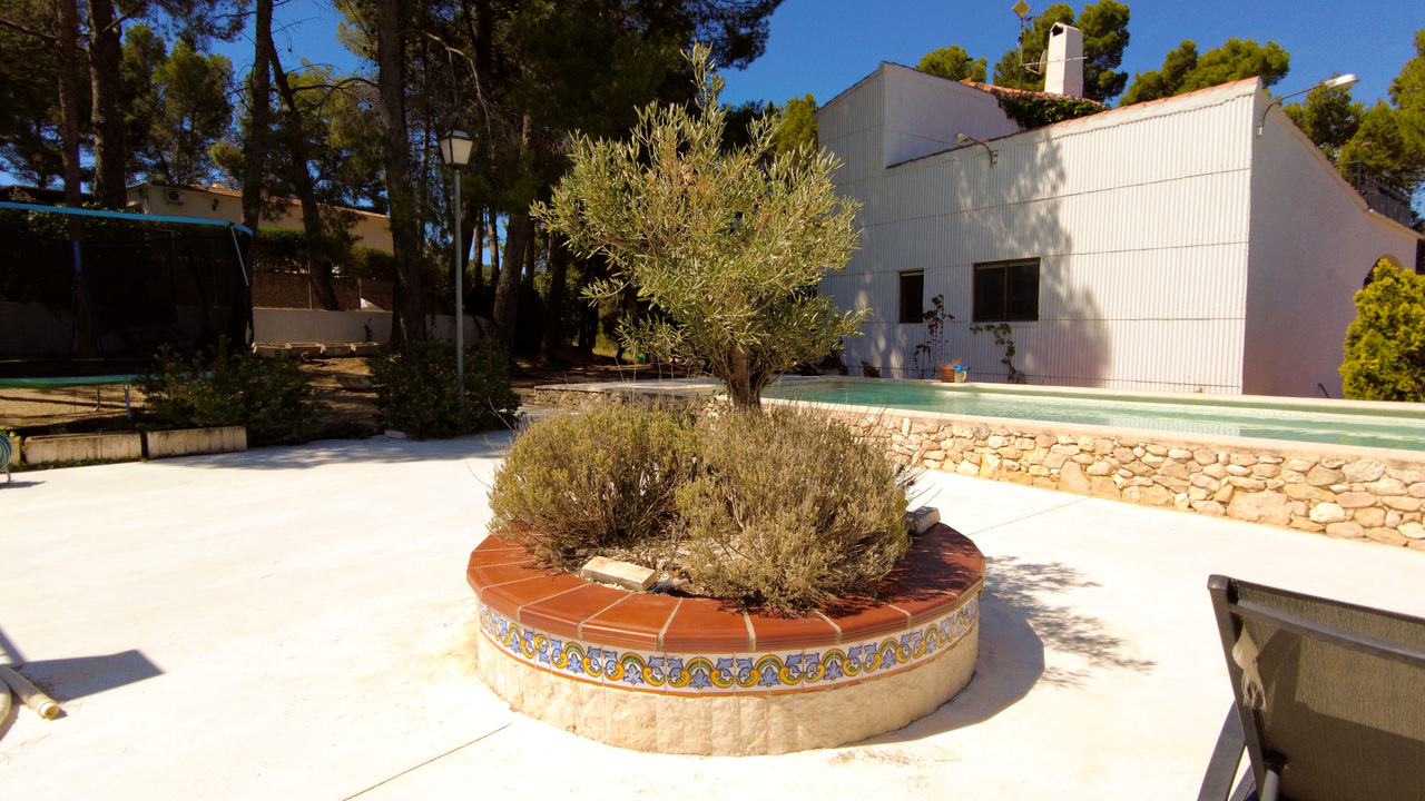 OLive Grove Estates Great Estate Agent Alicante Spain (18)