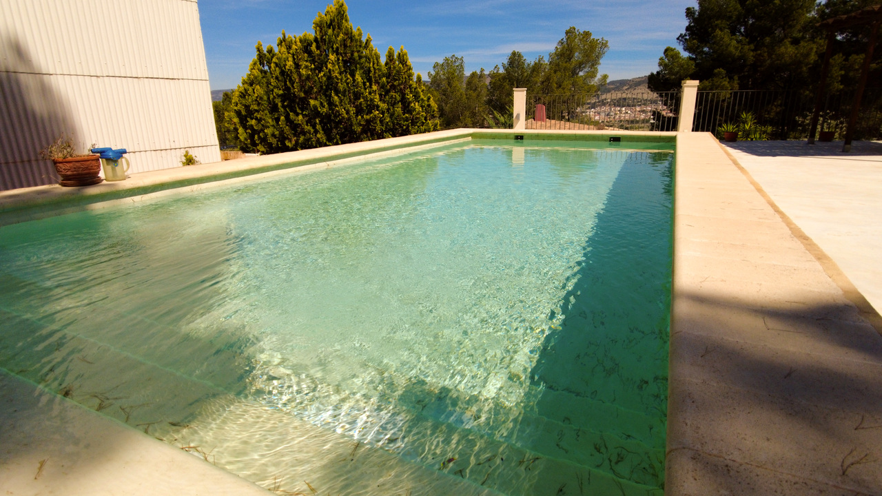OLive Grove Estates Great Estate Agent Alicante Spain (20)