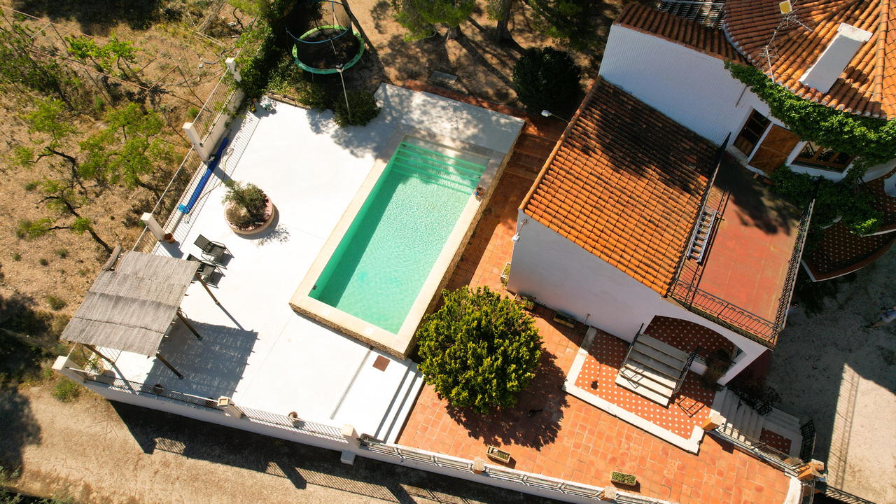 no.1 Estate Agent Alicante Olive Grove Estates Recommend recommended (5)