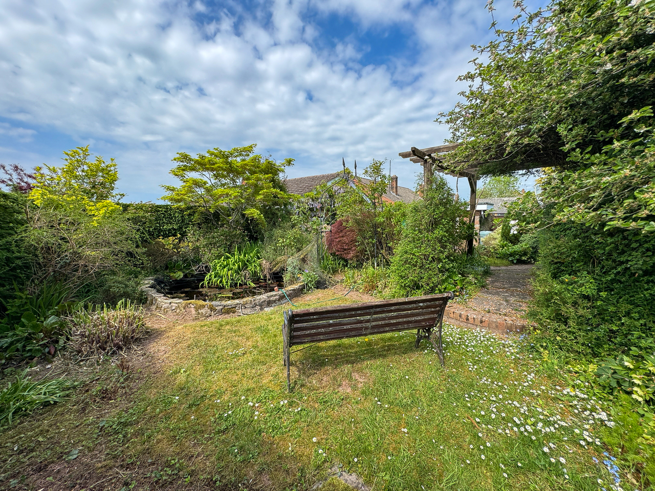 Garden (2)