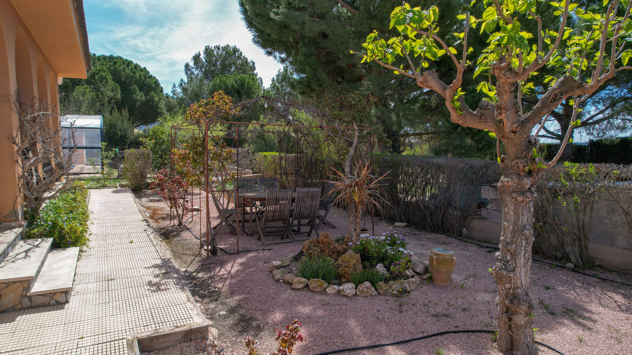 Olive Grove Estates Sax Alicante Bargain Property Spain (1)