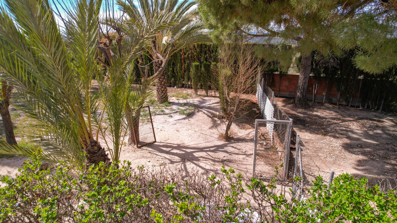 Olive Grove Estates Sax Alicante Bargain Property Spain (3)