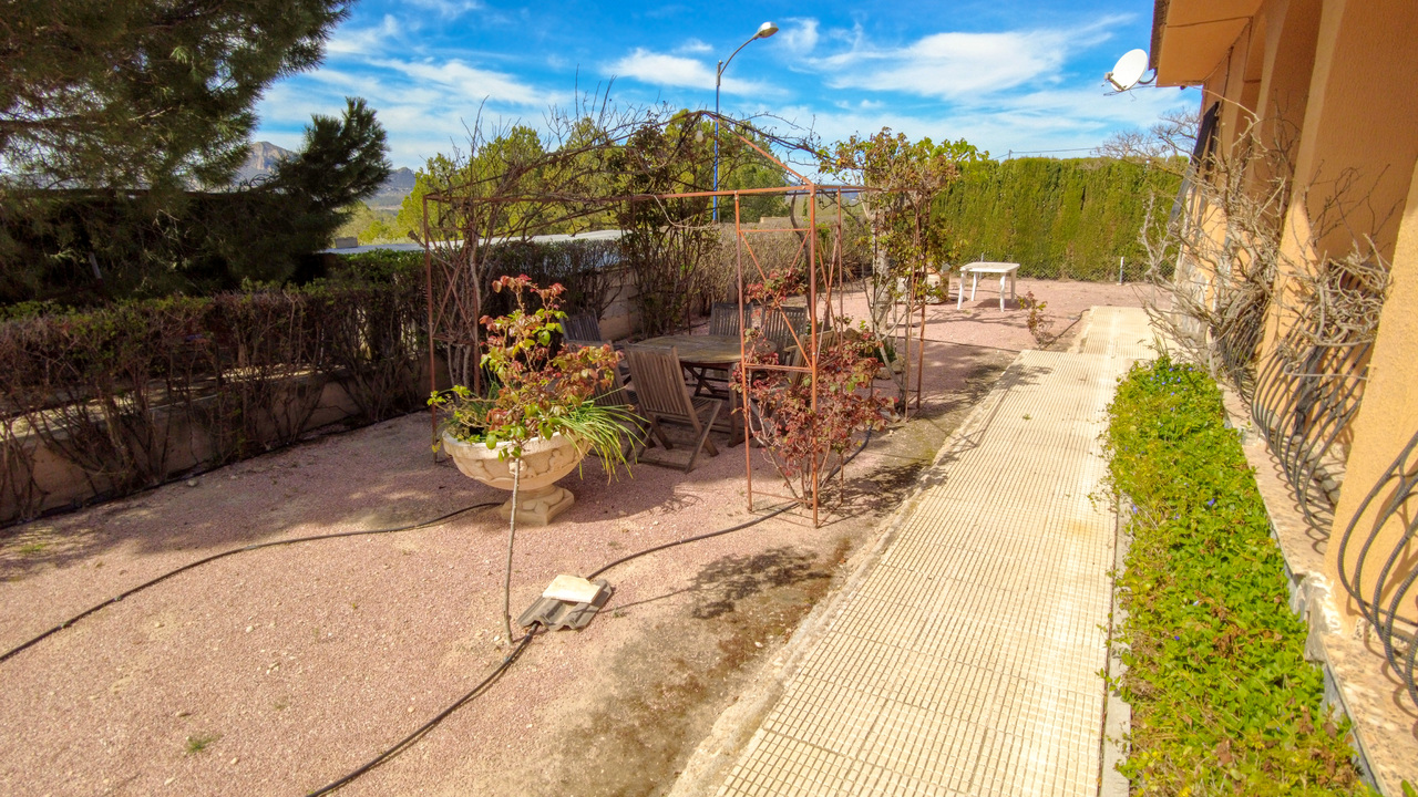 Olive Grove Estates Sax Alicante Bargain Property Spain (6)