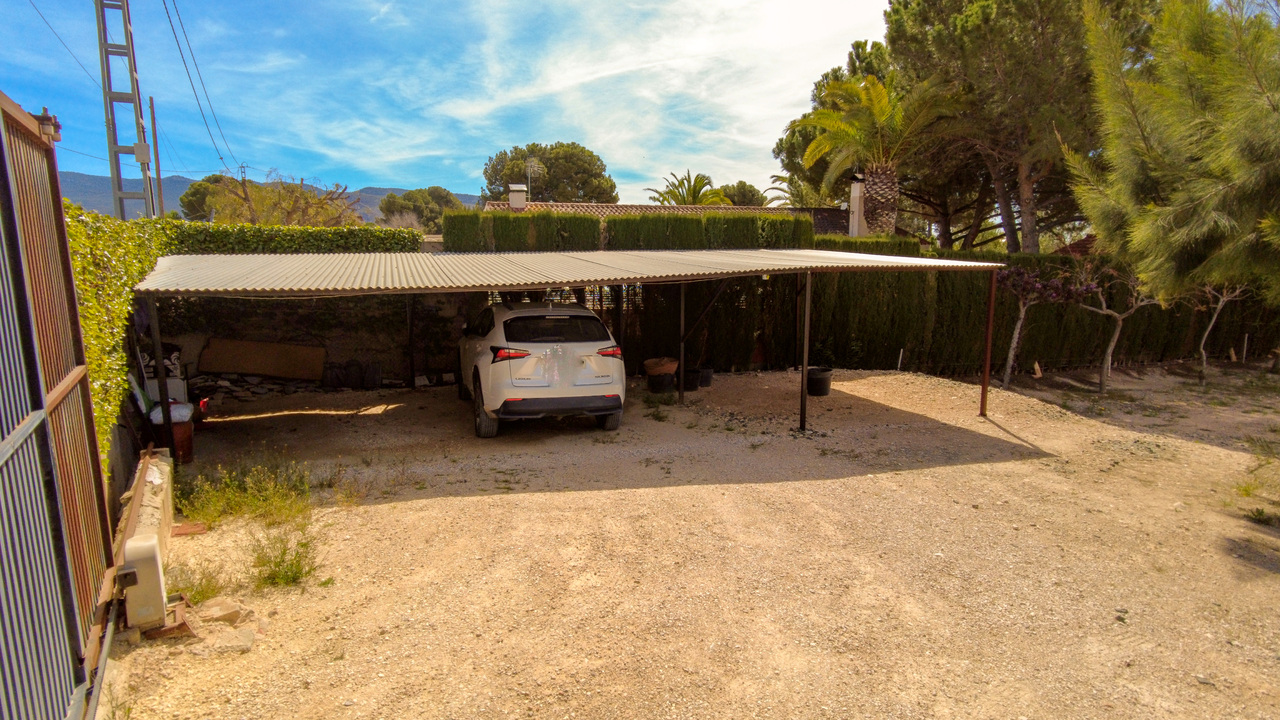 Olive Grove Estates Sax Alicante Bargain Property Spain (8)