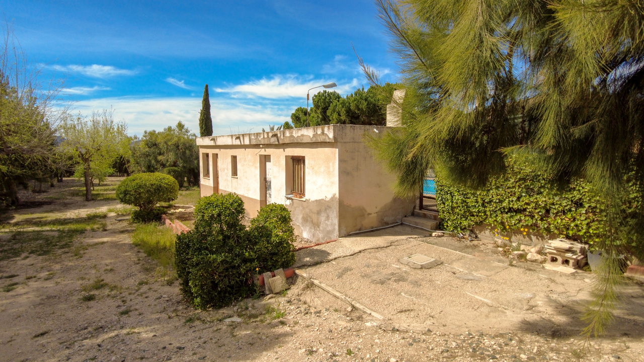 Olive Grove Estates Sax Alicante Bargain Property Spain (9)
