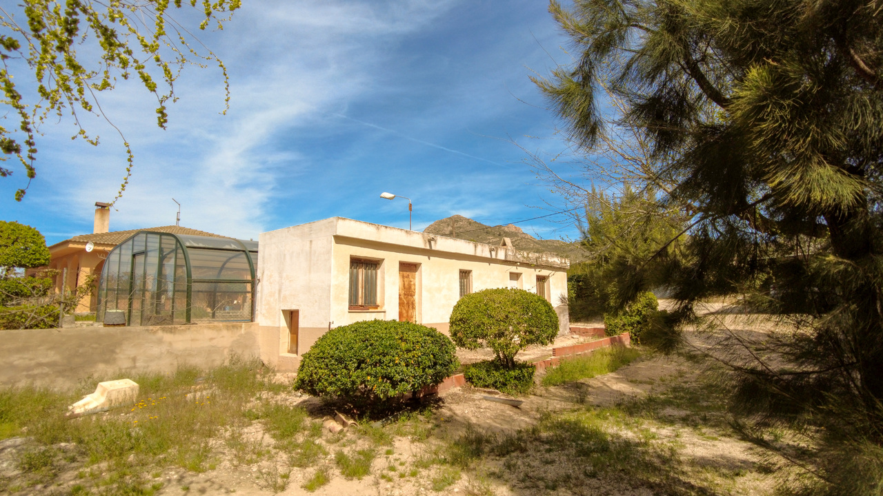 Olive Grove Estates Sax Alicante Bargain Property Spain (10)