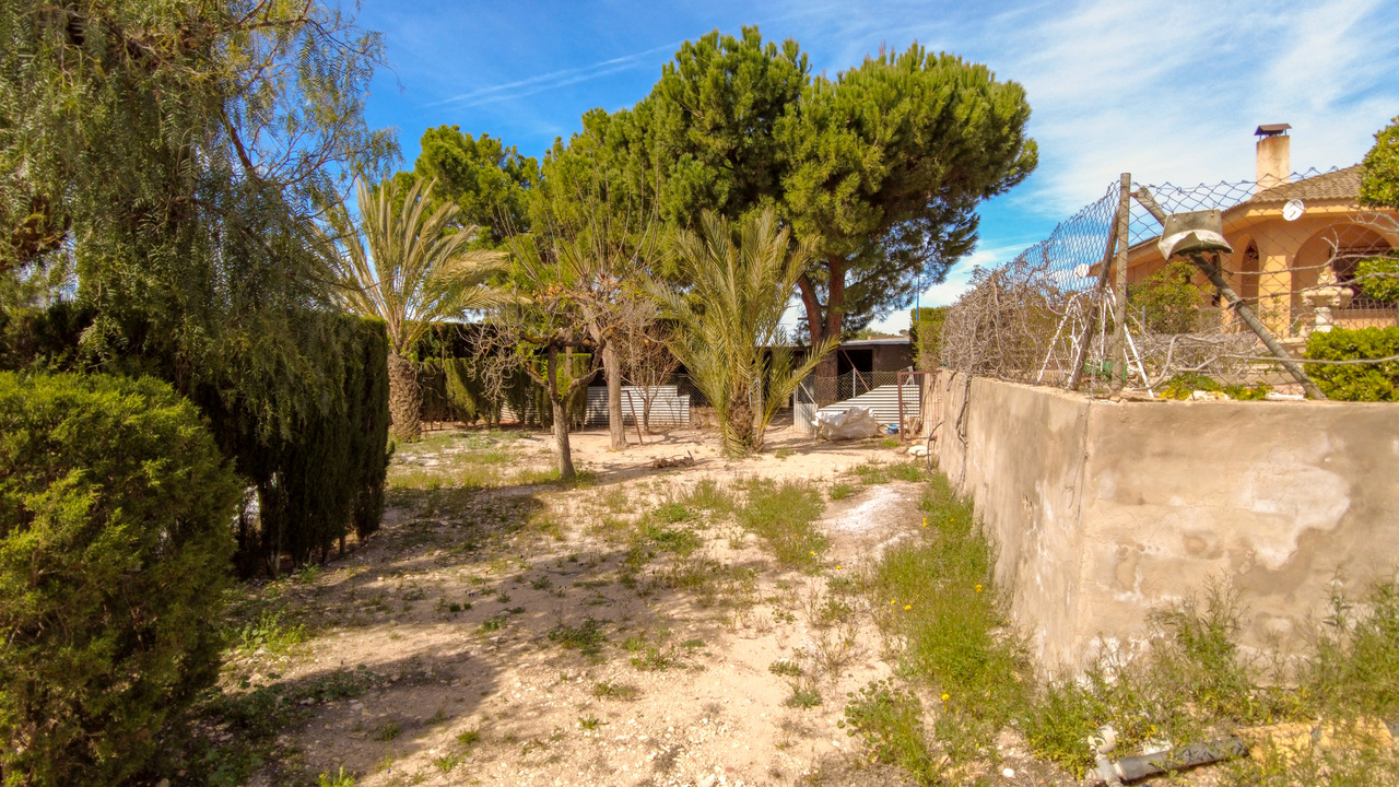 Olive Grove Estates Sax Alicante Bargain Property Spain (11)