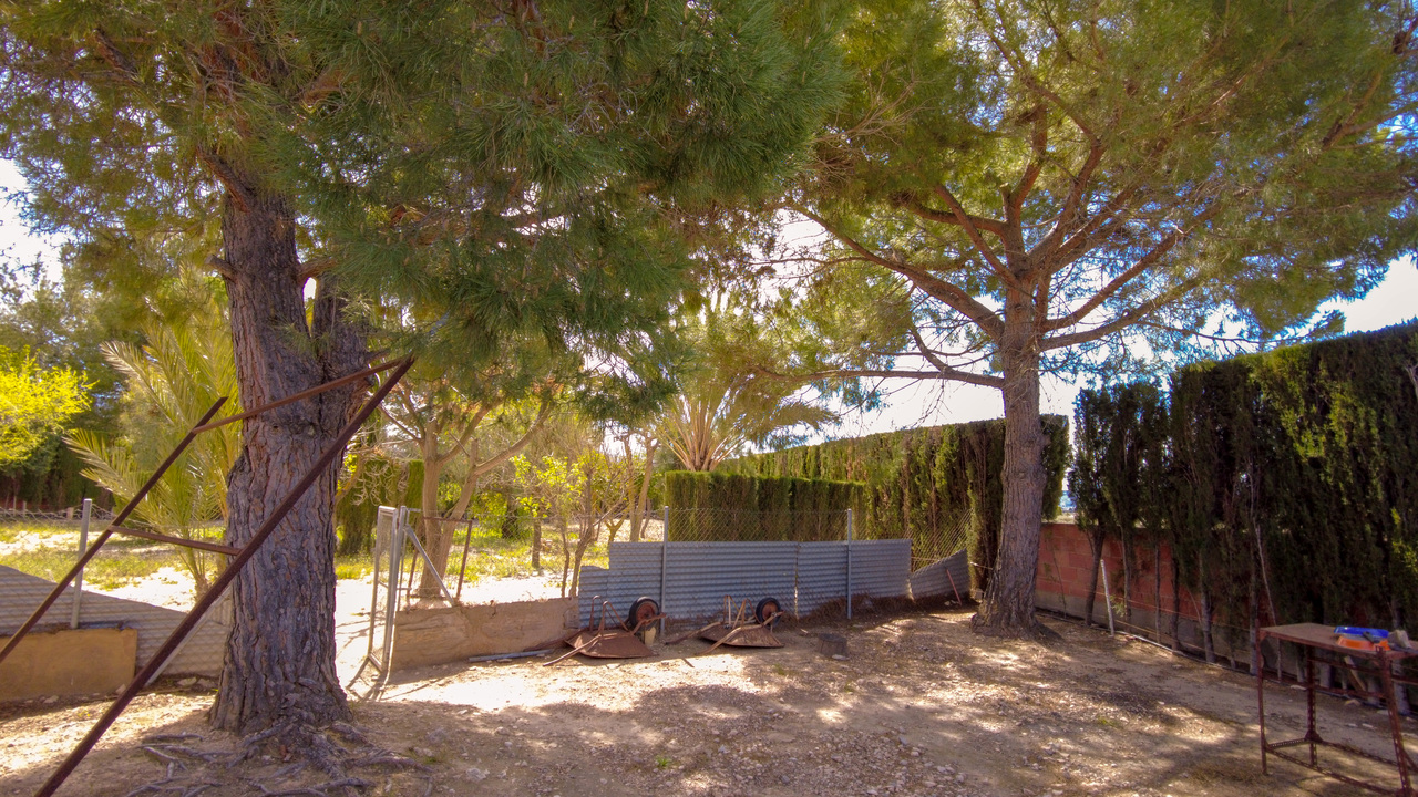 Olive Grove Estates Sax Alicante Bargain Property Spain (15)