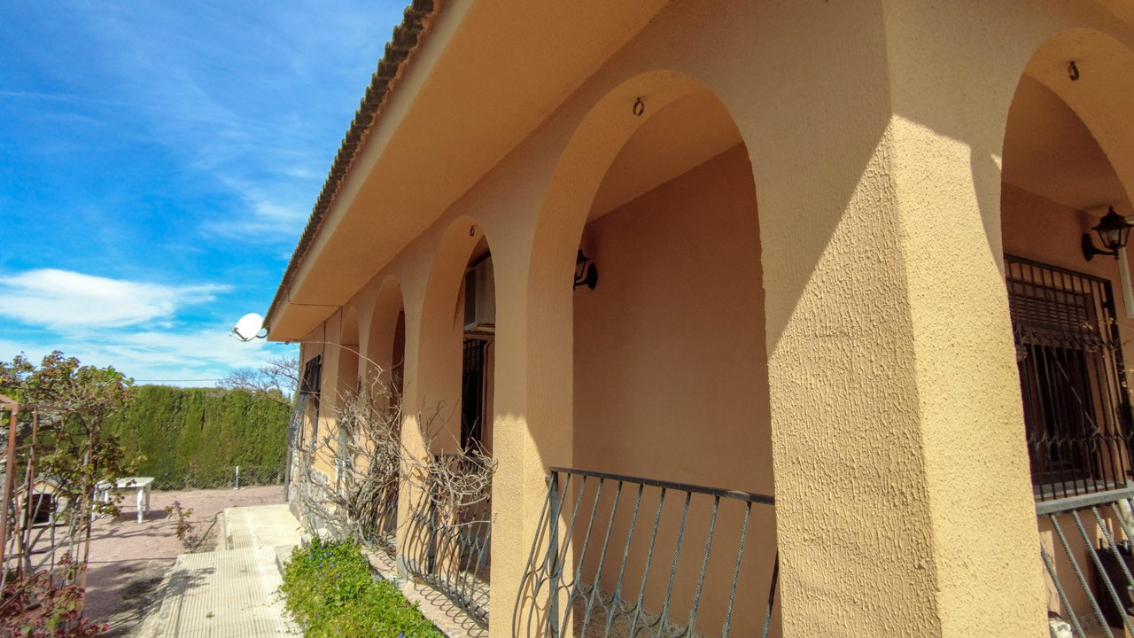Olive Grove Estates Sax Alicante Bargain Property Spain (17)