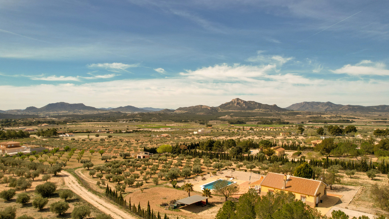 Olive Grove Estates Sax Alicante Bargain Property Spain (61)