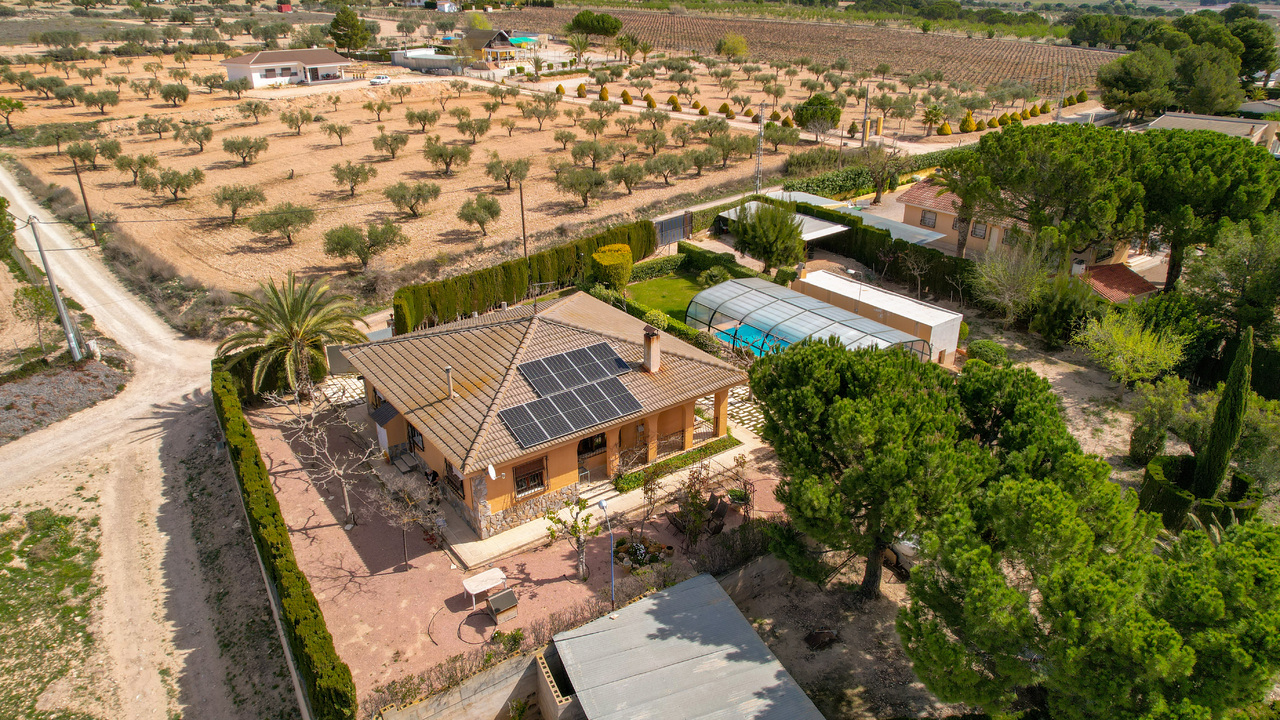 Olive Grove Estates Sax Alicante Bargain Property Spain (62)