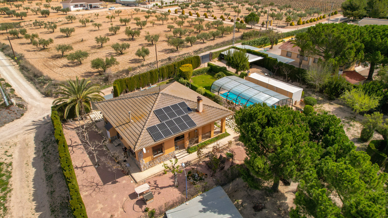 Olive Grove Estates Sax Alicante Bargain Property Spain (63)