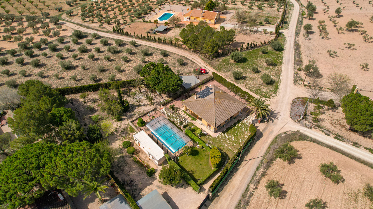 Olive Grove Estates Sax Alicante Bargain Property Spain (65)