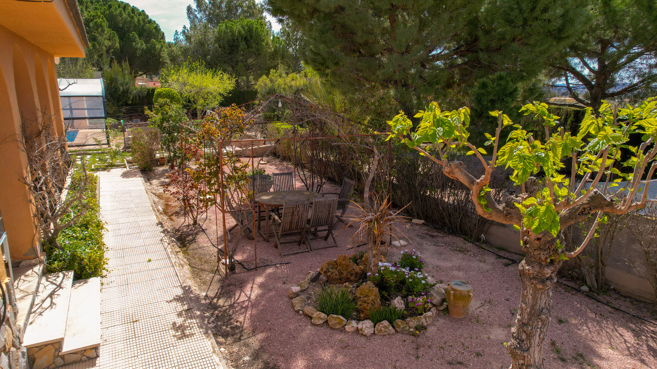 Olive Grove Estates Sax Alicante Bargain Property Spain (67)