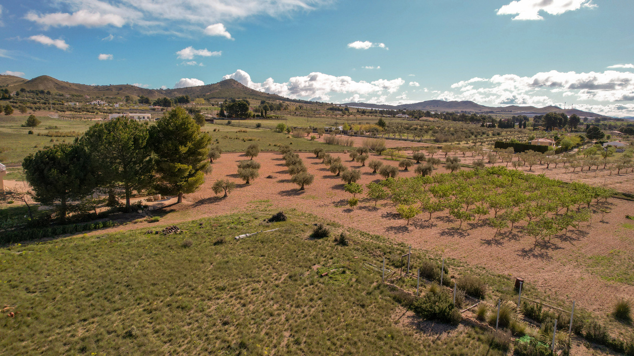 Olive Grove Estates Spanish Property Holiday Living Yecla Murcia (3)