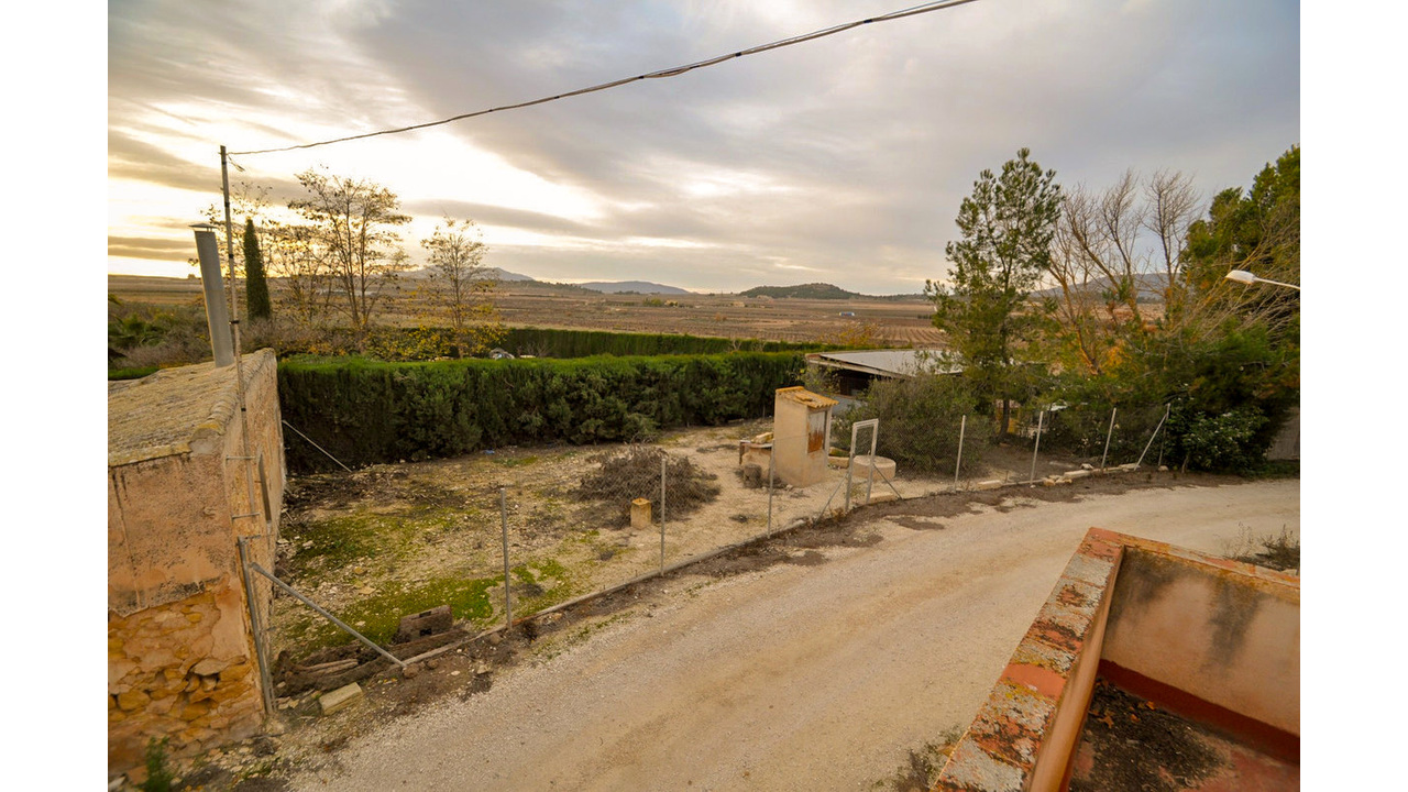 Olive Grove Estates Pinoso Country House for reform renovation spanish dream property (7)