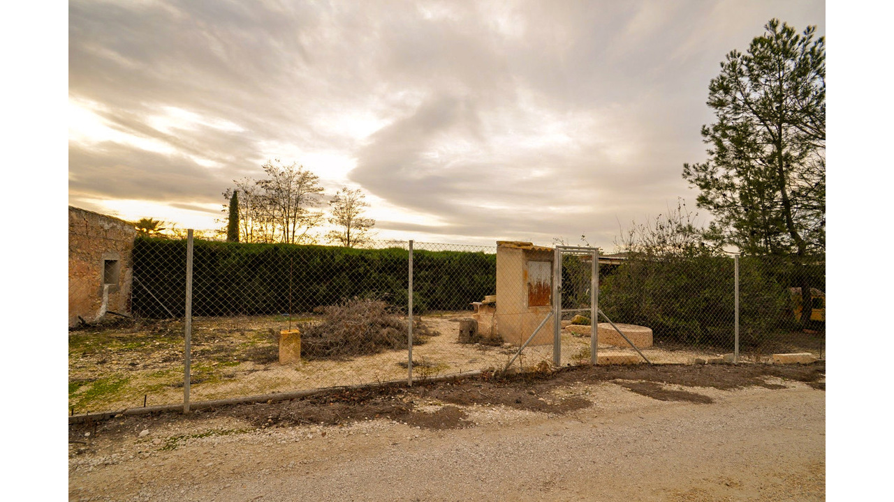 Olive Grove Estates Pinoso Country House for reform renovation spanish dream property (16)