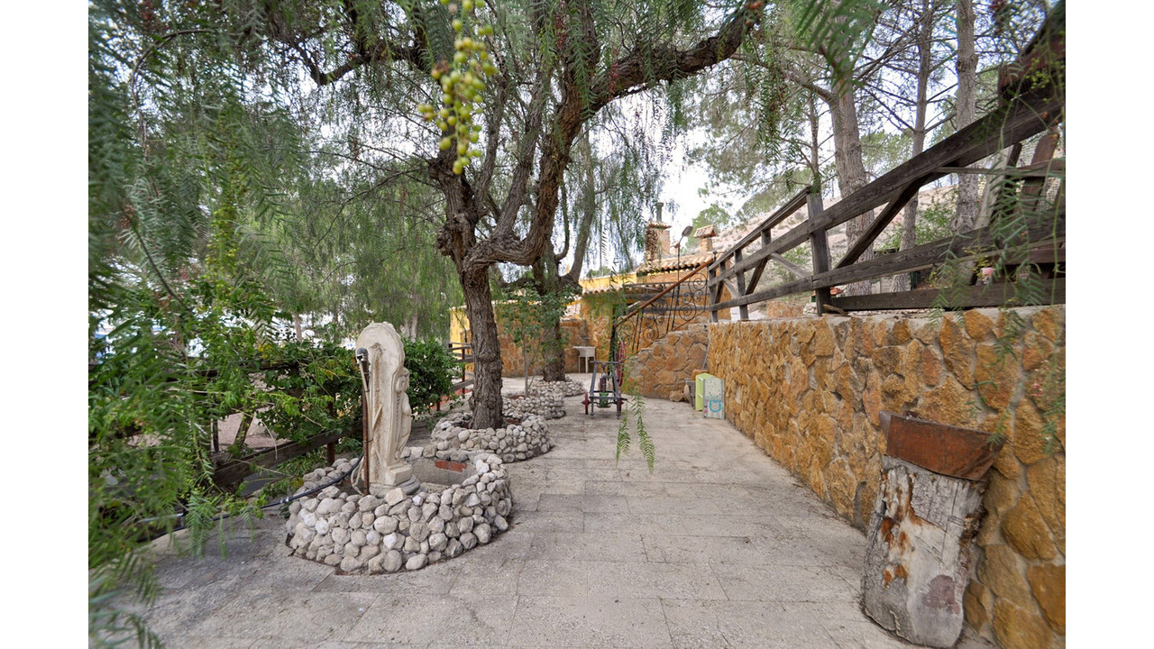 Olice Grove Estates Cave House Pinoso Best agency in Spain Fantastic (4)