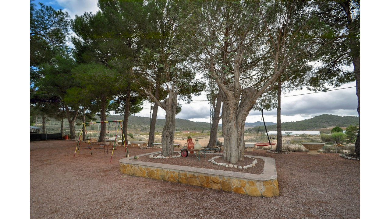Olice Grove Estates Cave House Pinoso Best agency in Spain Fantastic (10)