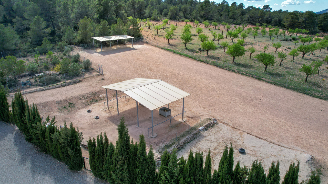 Olive Grove Estates Zarra Equestrian Property Horses Stables Spain For Sale (1)