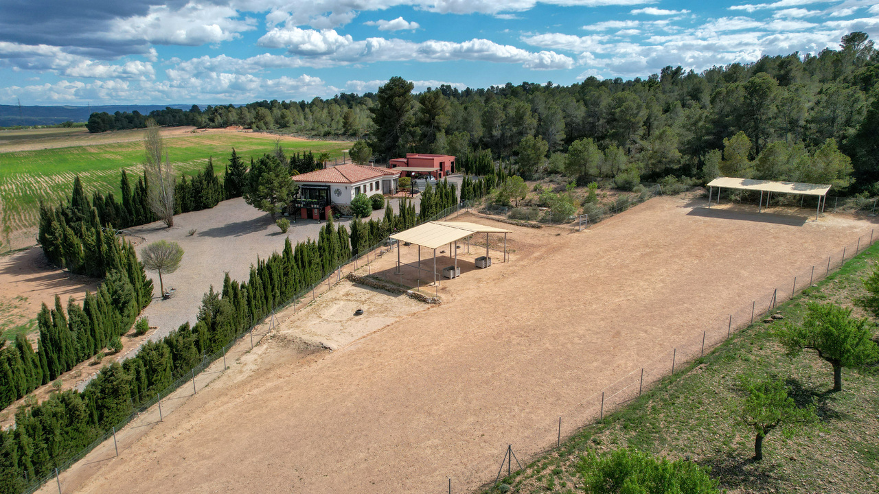 Olive Grove Estates Zarra Equestrian Property Horses Stables Spain For Sale (3)