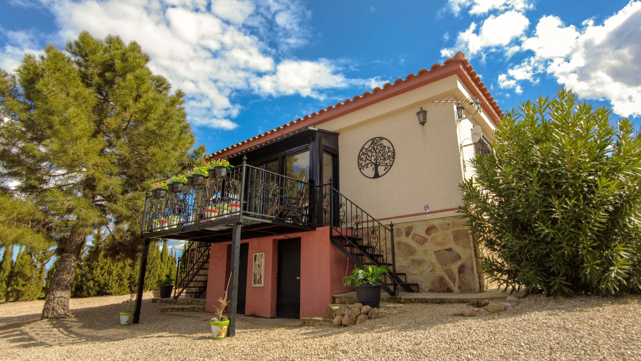Olive Grove Estates Zarra Equestrian Property Horses Stables Spain For Sale (4)