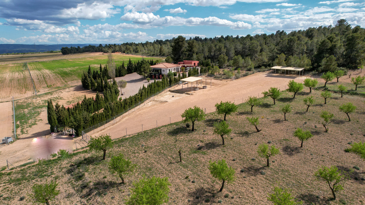 Olive Grove Estates Zarra Equestrian Property Horses Stables Spain For Sale (5)