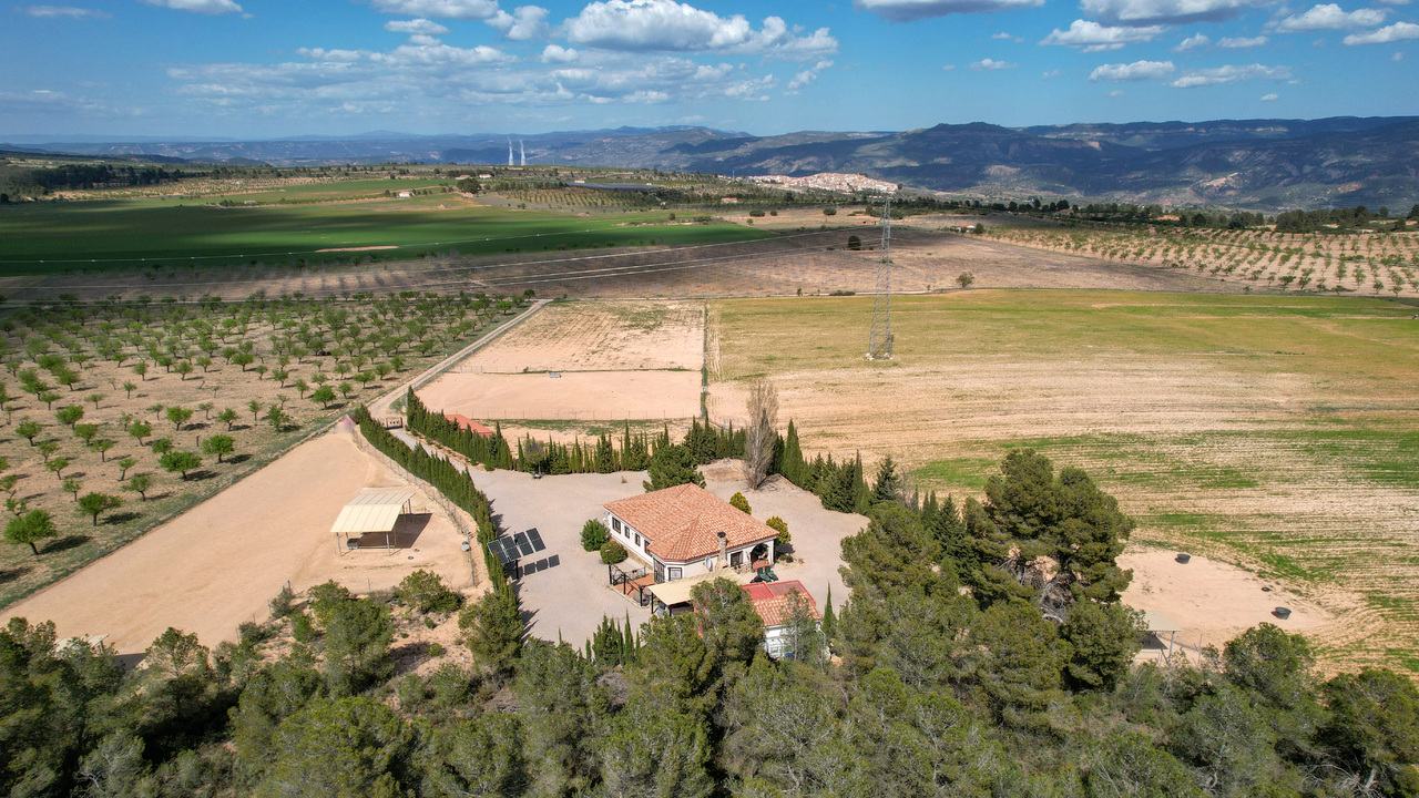 Olive Grove Estates Zarra Equestrian Property Horses Stables Spain For Sale (6)