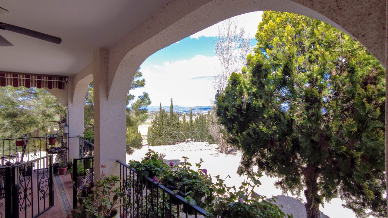 Olive Grove Estates Zarra Equestrian Property Horses Stables Spain For Sale (7)