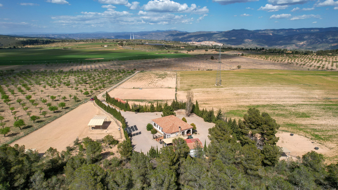 Olive Grove Estates Zarra Equestrian Property Horses Stables Spain For Sale (8)