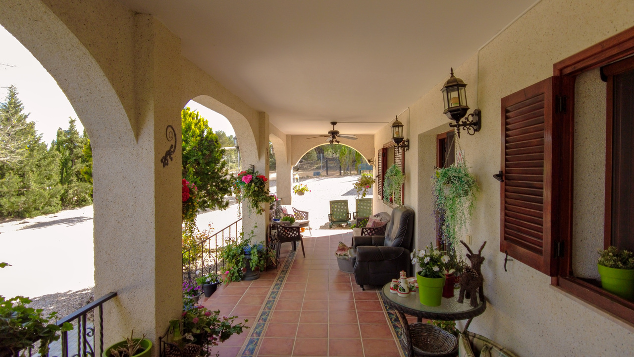 Olive Grove Estates Zarra Equestrian Property Horses Stables Spain For Sale (9)