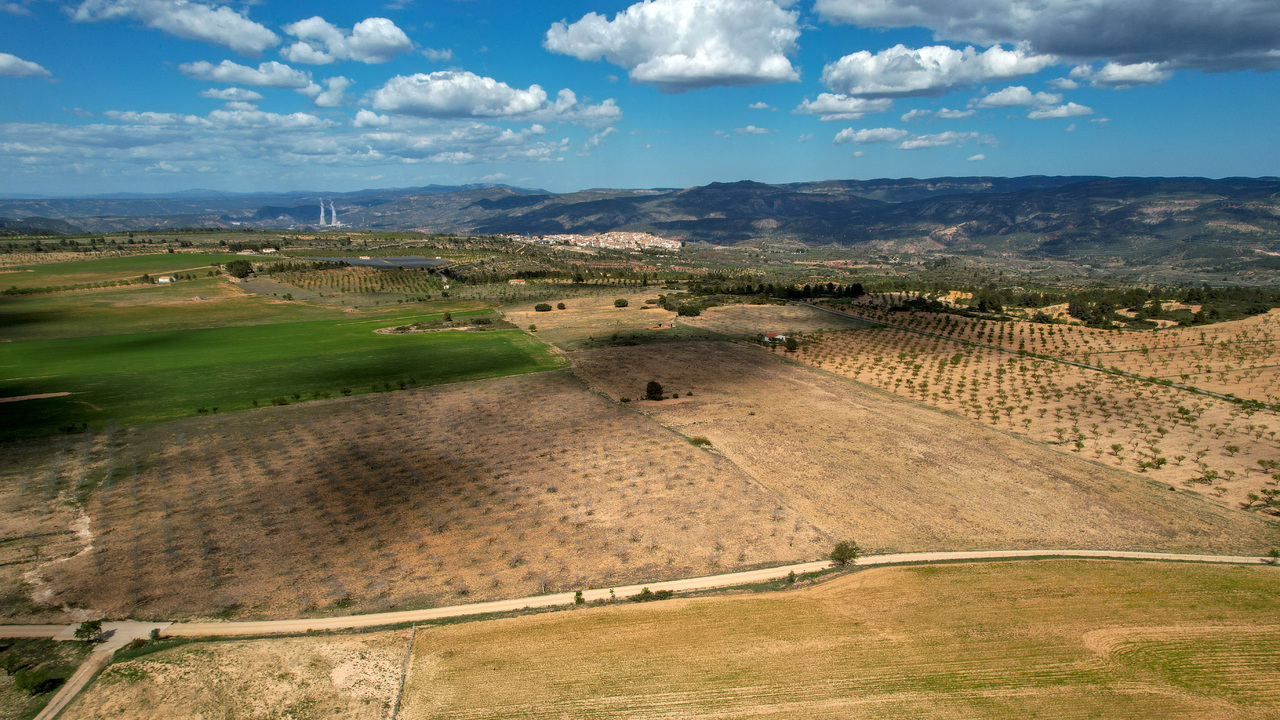 Olive Grove Estates Zarra Equestrian Property Horses Stables Spain For Sale (11)