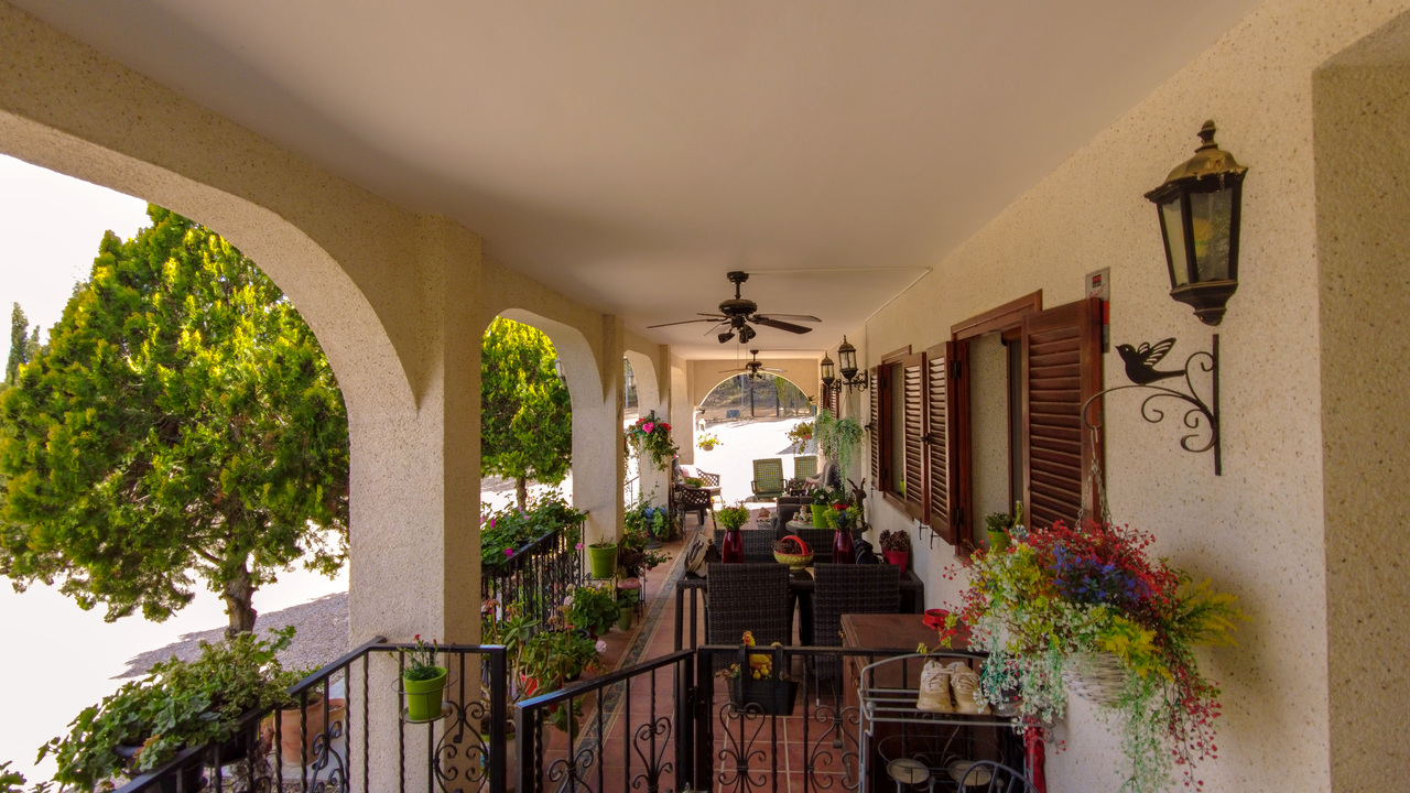 Olive Grove Estates Zarra Equestrian Property Horses Stables Spain For Sale (13)